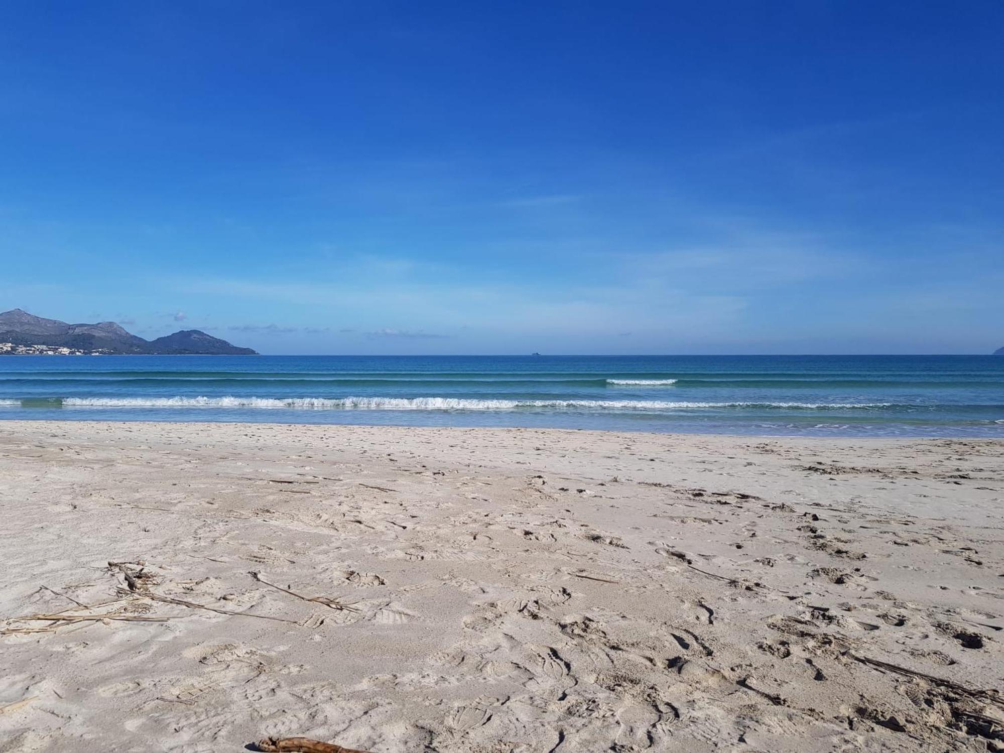 Ideal Property Mallorca - Primavera Port de Alcudia  Eksteriør bilde